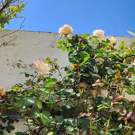 Duplex Bien Equipe Securise Avec Jardin Et Veranda La Marsa Exteriér fotografie
