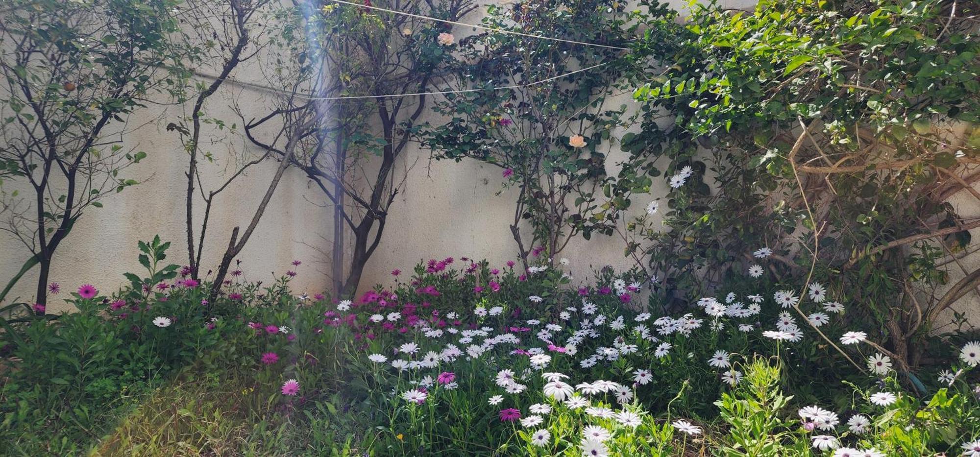 Duplex Bien Equipe Securise Avec Jardin Et Veranda La Marsa Exteriér fotografie