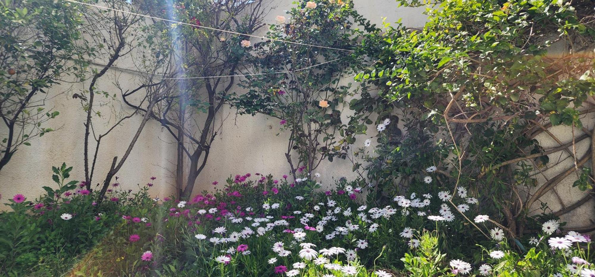 Duplex Bien Equipe Securise Avec Jardin Et Veranda La Marsa Exteriér fotografie