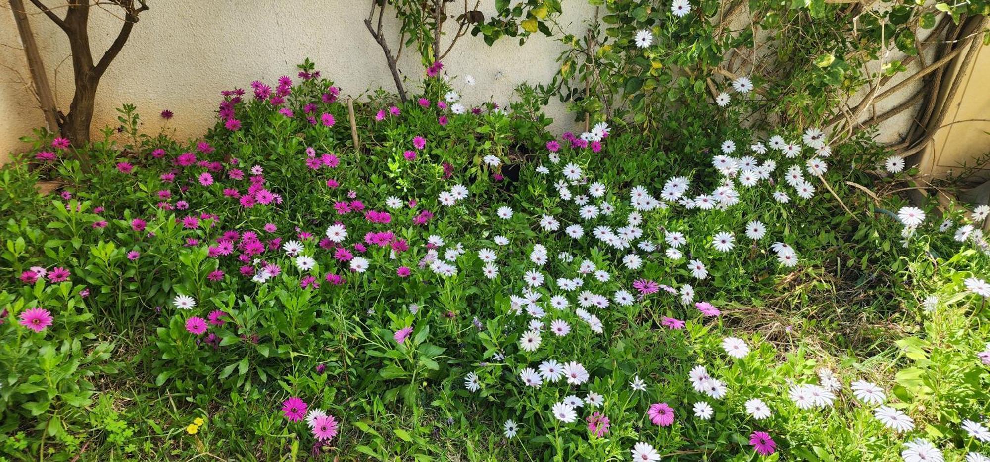Duplex Bien Equipe Securise Avec Jardin Et Veranda La Marsa Exteriér fotografie