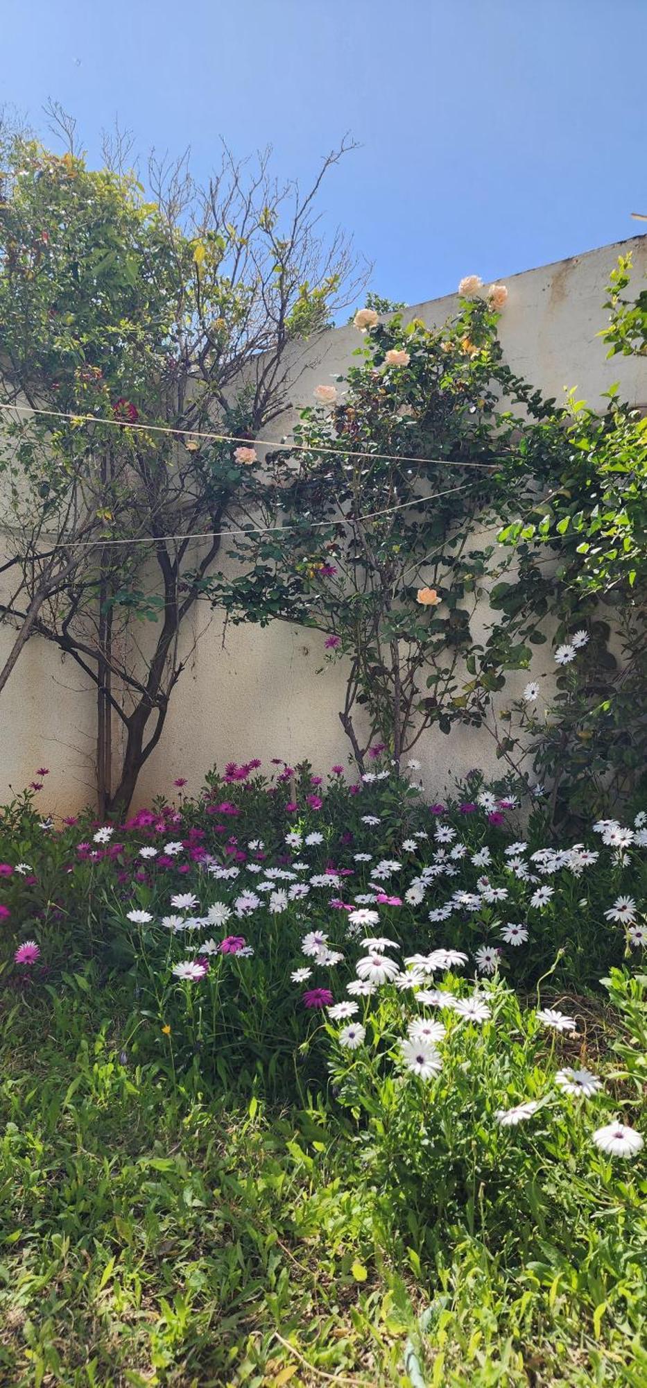 Duplex Bien Equipe Securise Avec Jardin Et Veranda La Marsa Exteriér fotografie